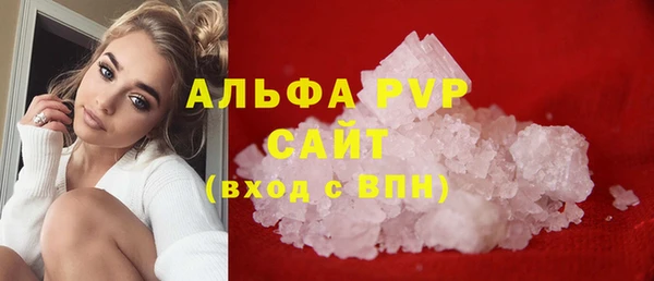 сатива Магадан