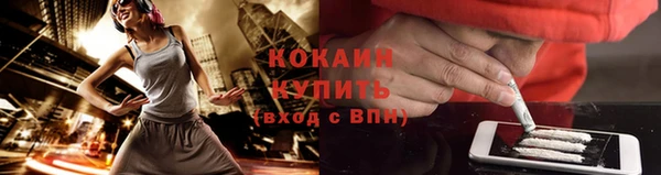 сатива Магадан