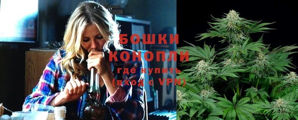 сатива Магадан