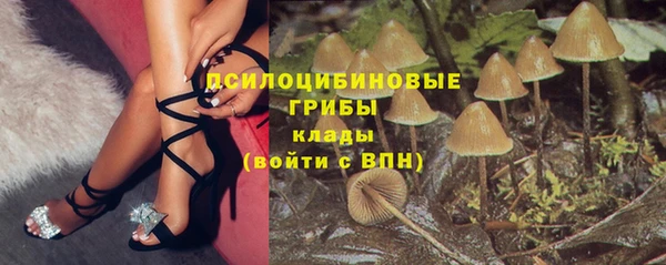 сатива Магадан