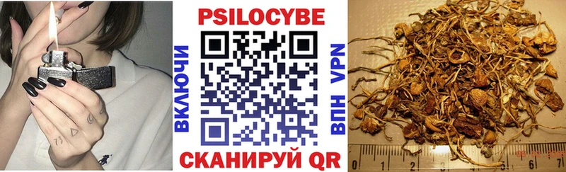 даркнет как зайти  Калининград  Галлюциногенные грибы мицелий 